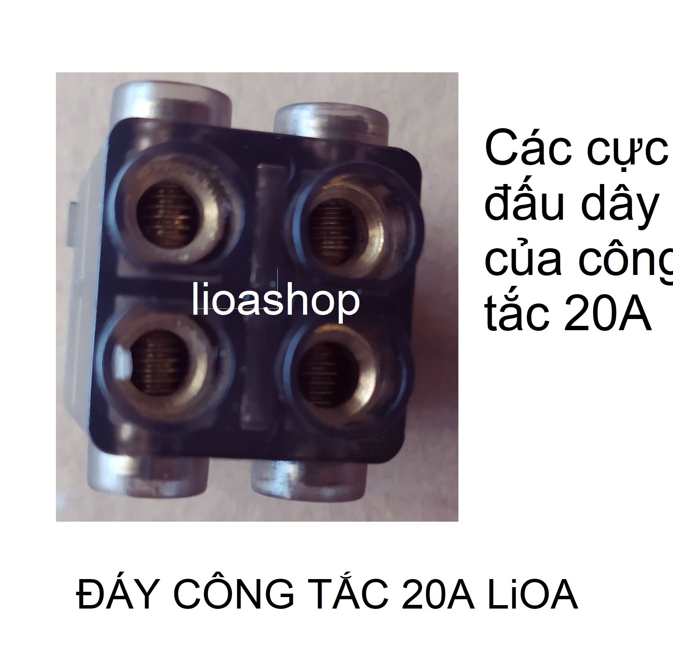 HẠT CÔNG TẮC VUÔNG 2 CƯC LiOA 20A