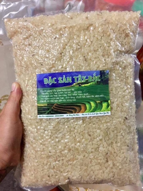ĐẶC SẢN TÂY BẮC: GẠO KHẨU HANG (gạo đặc sản làm từ lúa nếp non tú lệ yên bái)