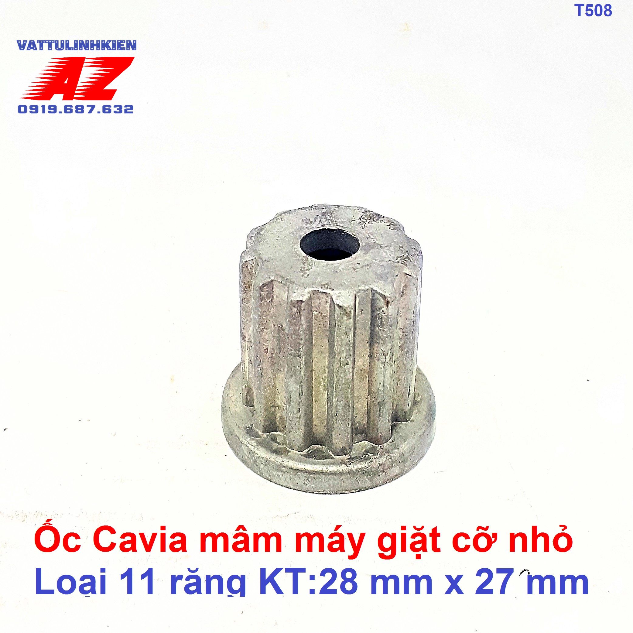 Ốc mâm - Cavia máy giặt của đứng 11 răng
