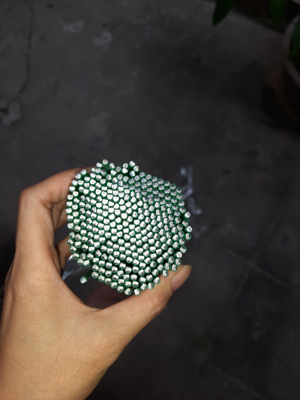 [FREESHIP TỪ 50K] Que cắm, định hình phong lan
