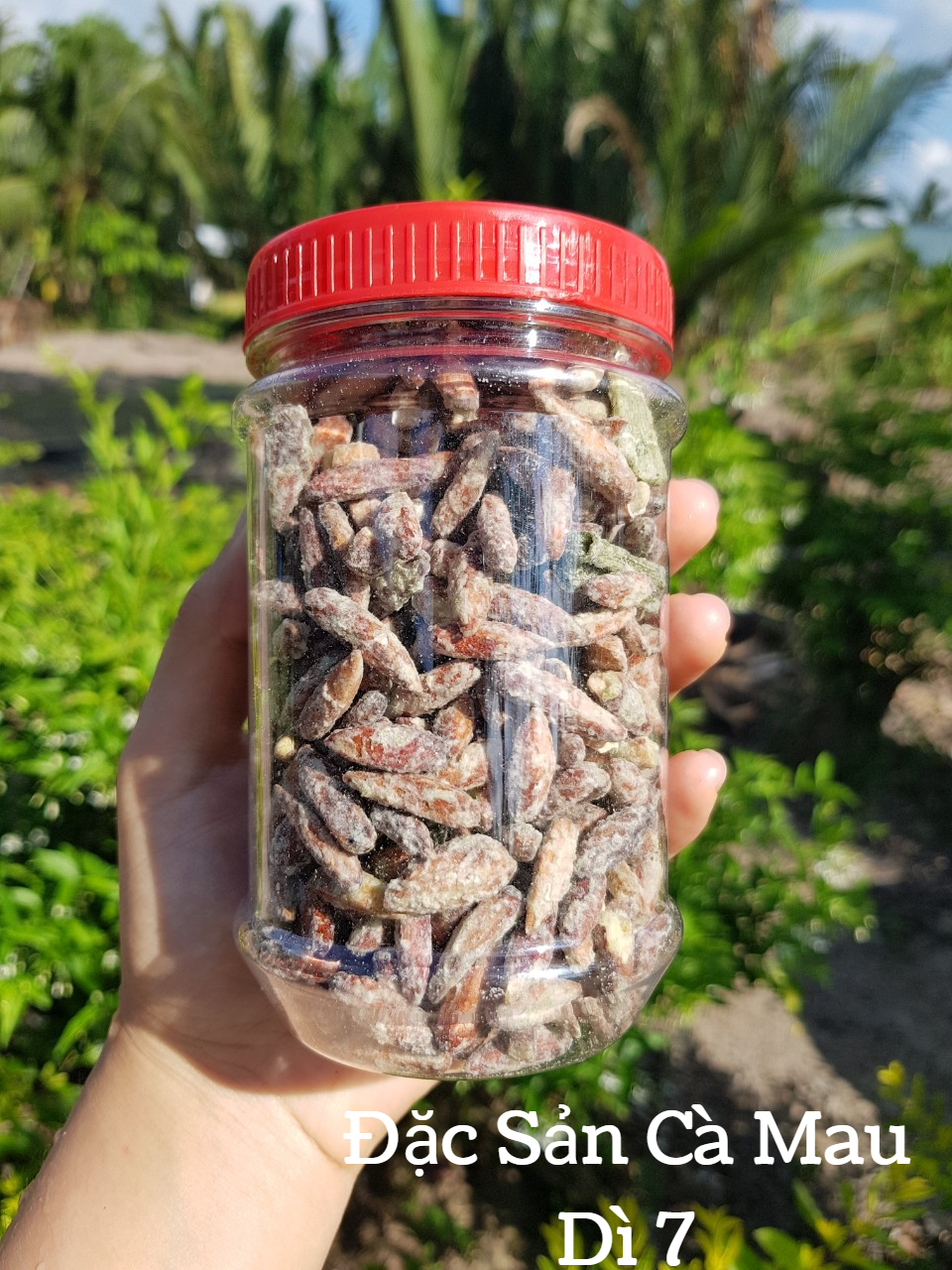 [500Gram] Hạt bàng đặc sản Côn Đảo (vị rang dứa)