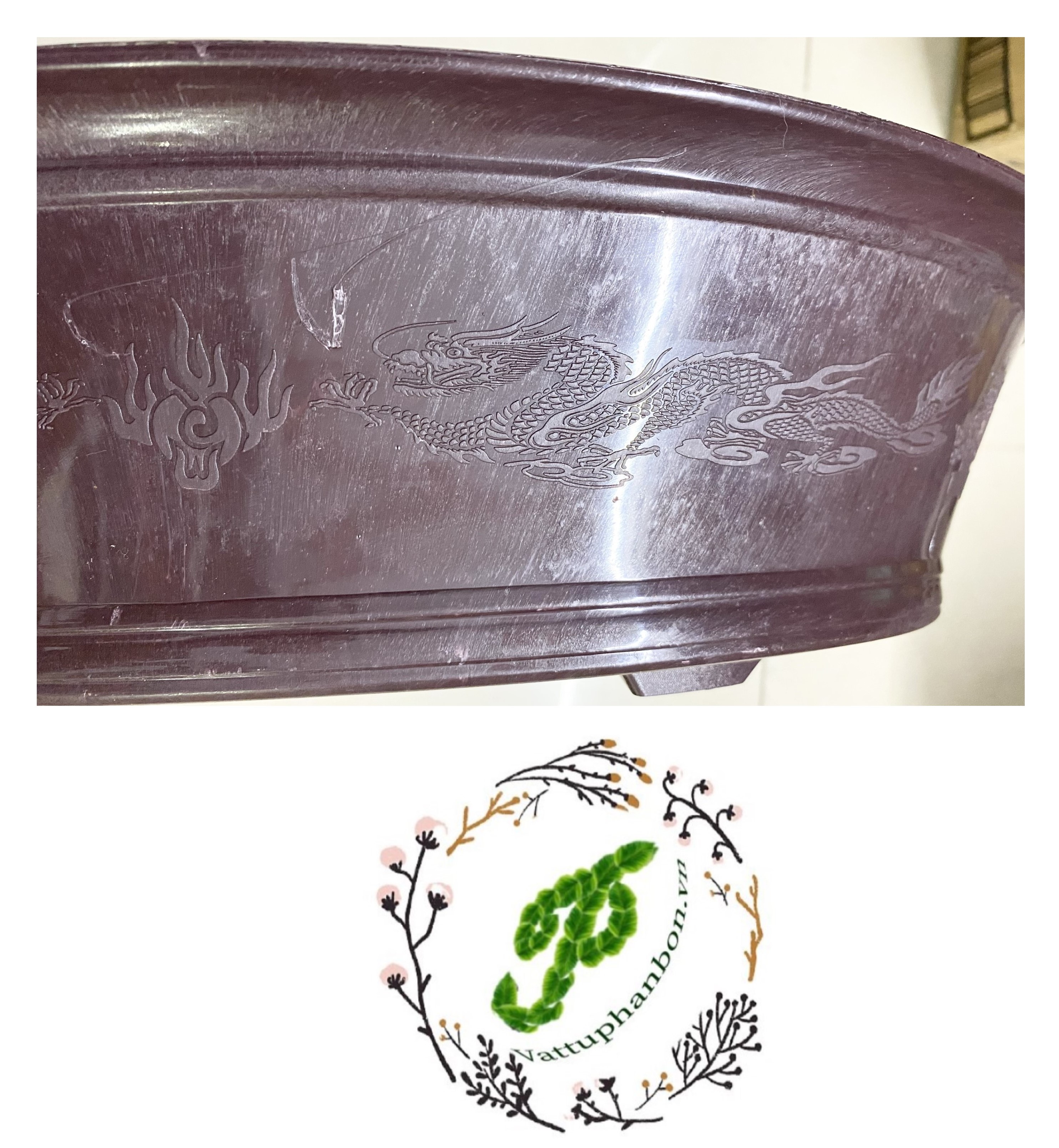 Chậu Oval Bonsai AD 50x40x12cm - #024D#