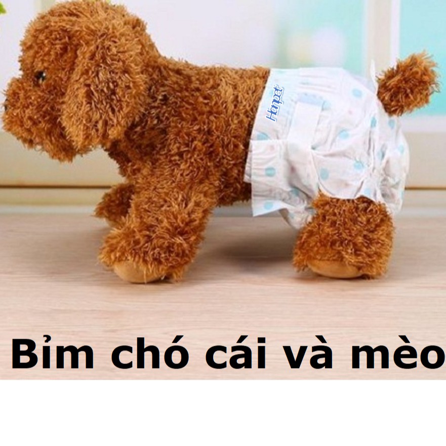 Bỉm quần thú cưng dạng dán cho chó đực và chó cái