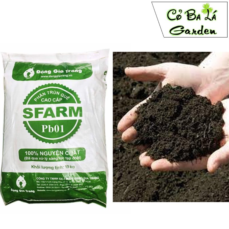 Phân Trùn Quế SFARM  túi 1-kg