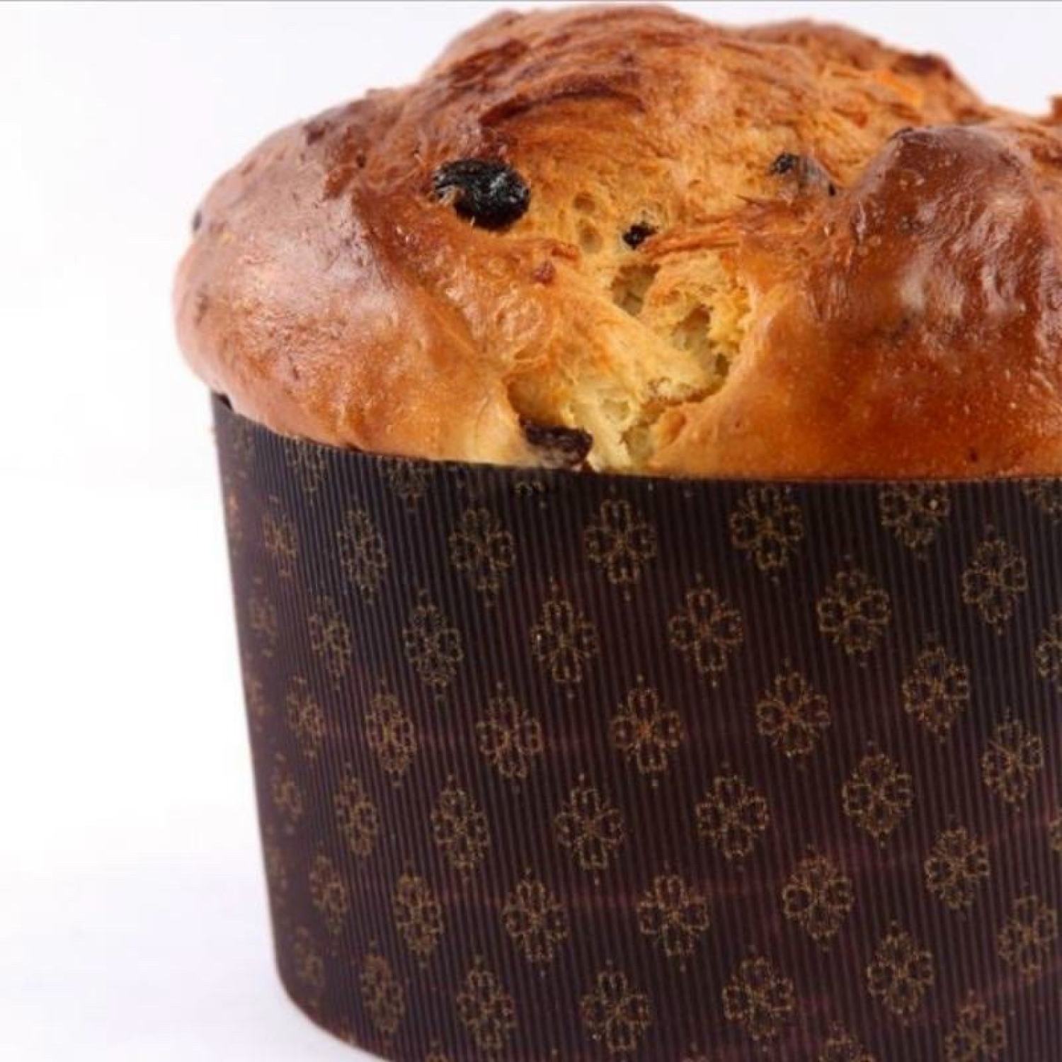 5 Khuôn Bánh Panettone