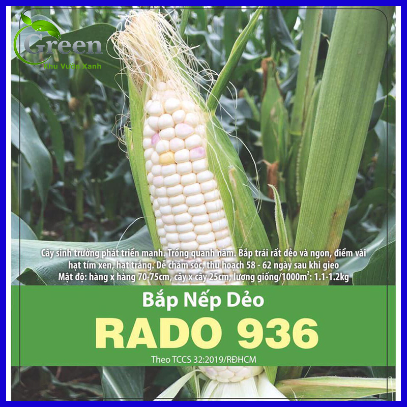 Hạt Giống Bắp Nếp Dẻo