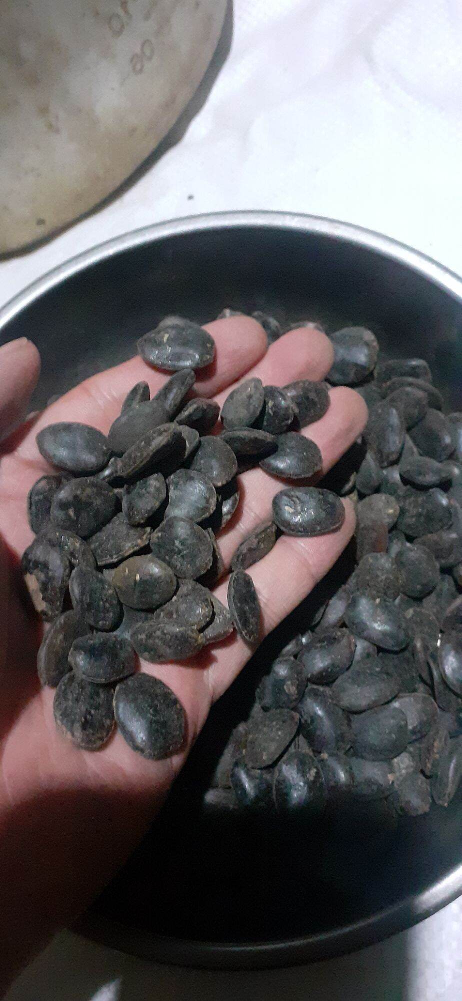 400gram hạt lim xanh giống