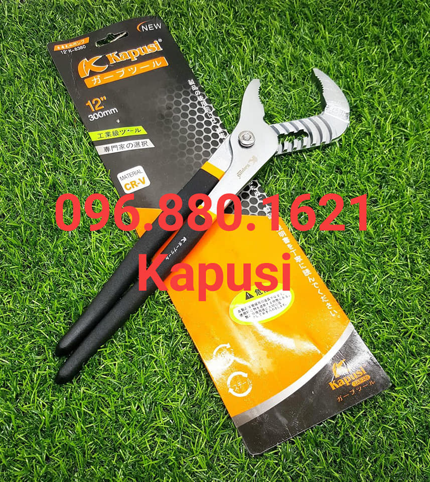 Kìm mỏ quạ 10in _k8379