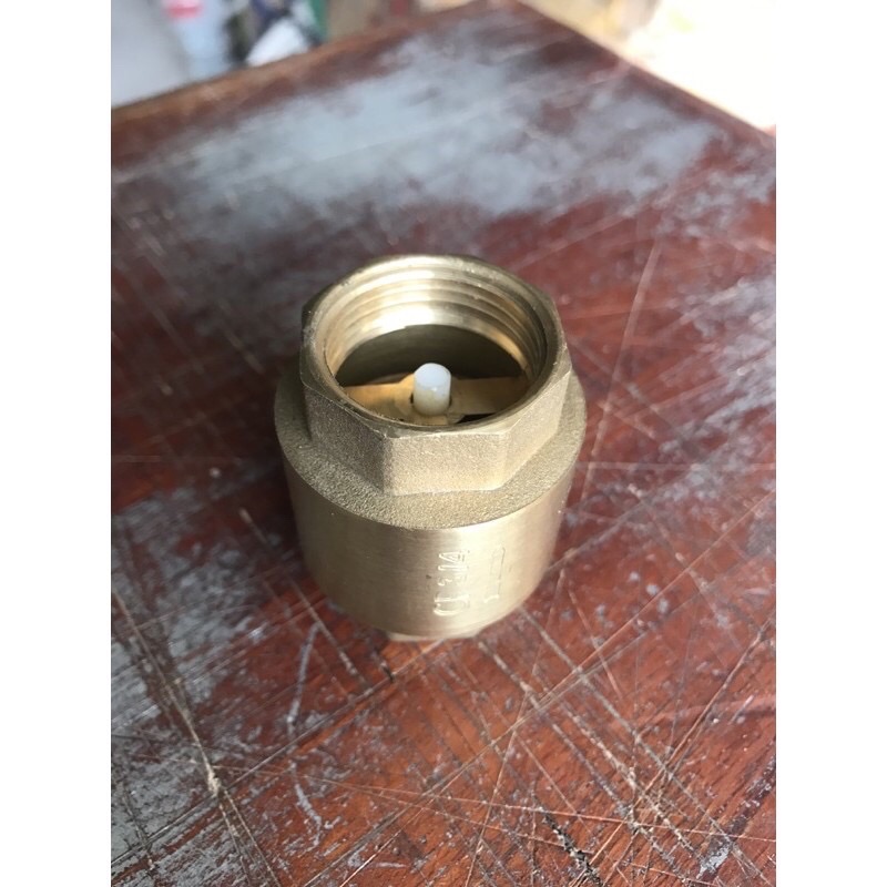 Brass Spring One-Way Valve