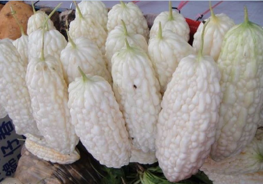 "Gói 5 Hạt " Hạt giống mướp đắng trắng (mướp đắng bạch tuyết)