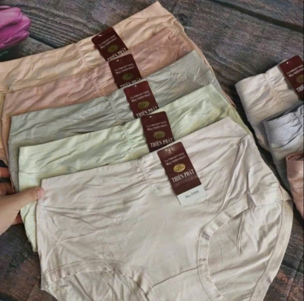 [5509]combo 5 quần lót nữ cotton cao cấp 45kg đến 60kg