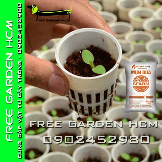 BAO 20dm3 (5,4kg) MỤN DỪA SFARM ĐÃ XỬ LÝ