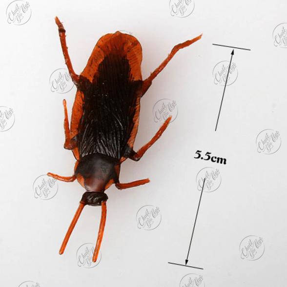 Combo 10 con gián giả nhựa dẻo 5.5cm