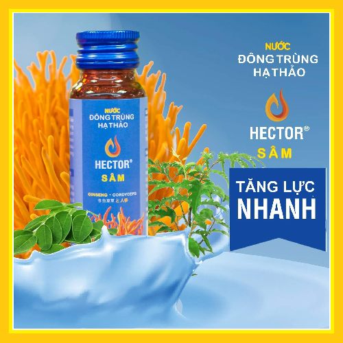 Nước đông trùng hạ thảo Hector sâm (Hộp 10 chai x 50ml)