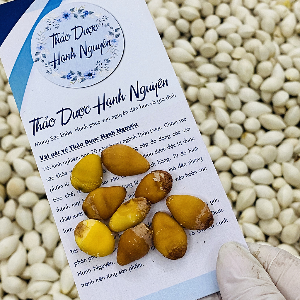 Nhân bạch quả khô 100g, hạt to, thơm, nguyên liệu nấu chè, chưng yến, hầm gà, tốt cho sức khoẻ