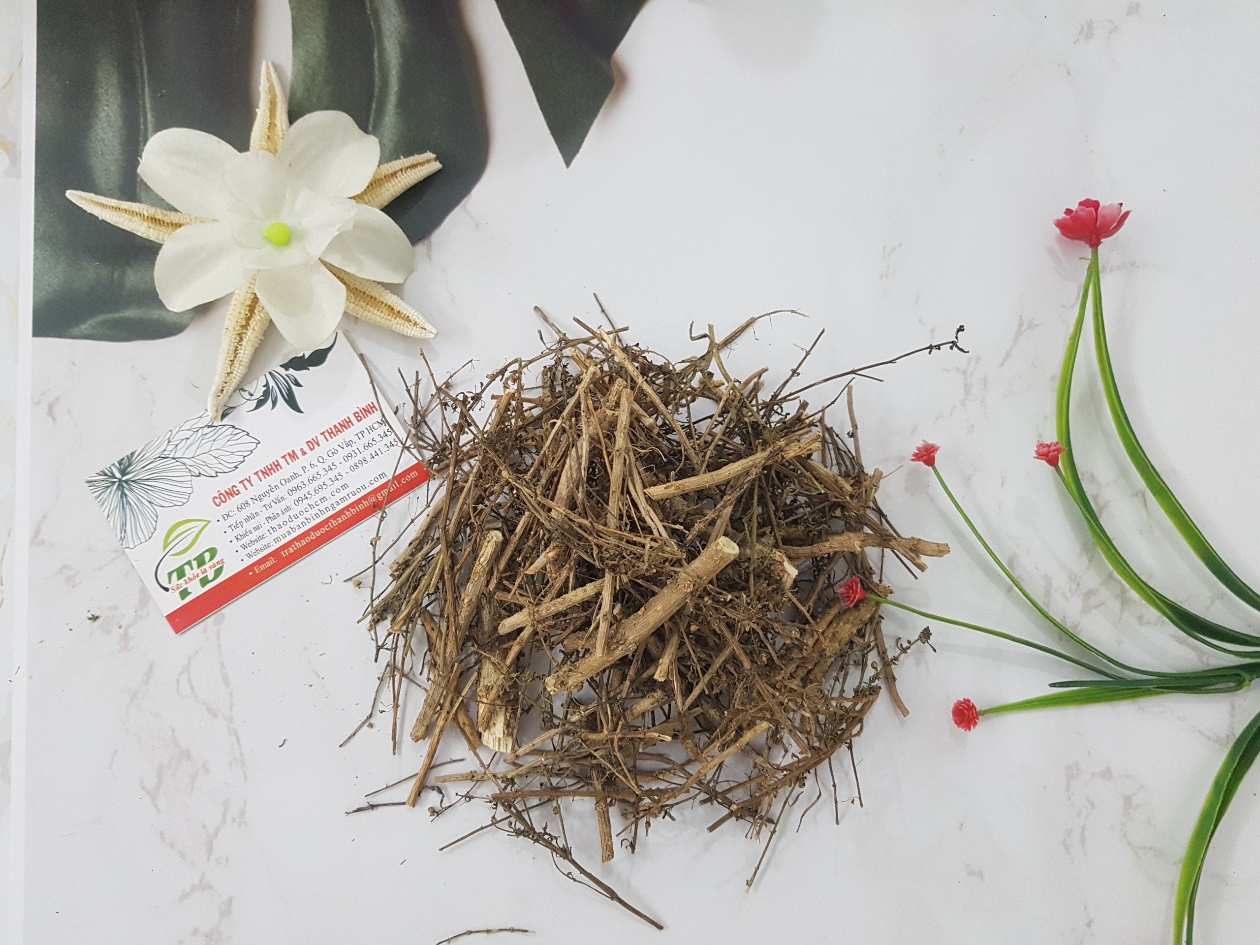 Cây Cam Thảo Đất (Cam Thảo Nam) 1KG Khô - Đông Y Thanh Bình