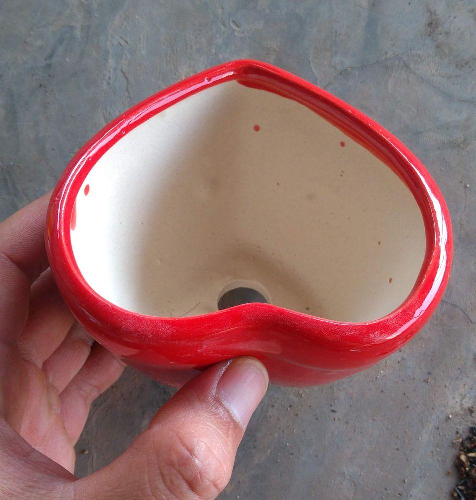 Chậu trồng cây cảnh: Mẫu sứ tim đơn