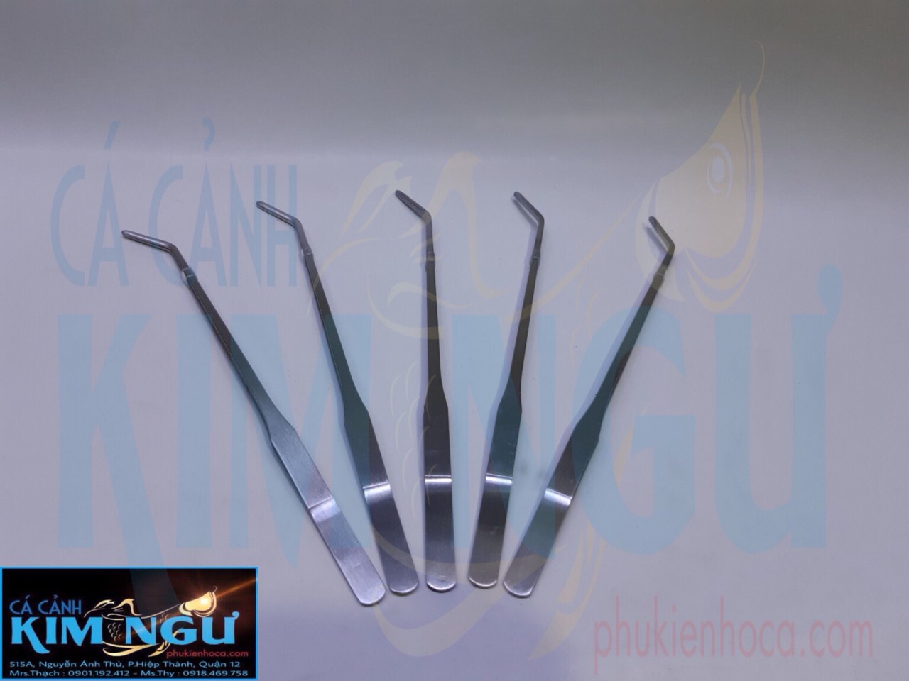 NHÍP CONG CẮM (NHỔ) CÂY THUỶ SINH 25CM