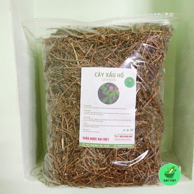 Cây xấu hổ khô khô - Tốt cho người mất ngủ và đau nhức xương khớp