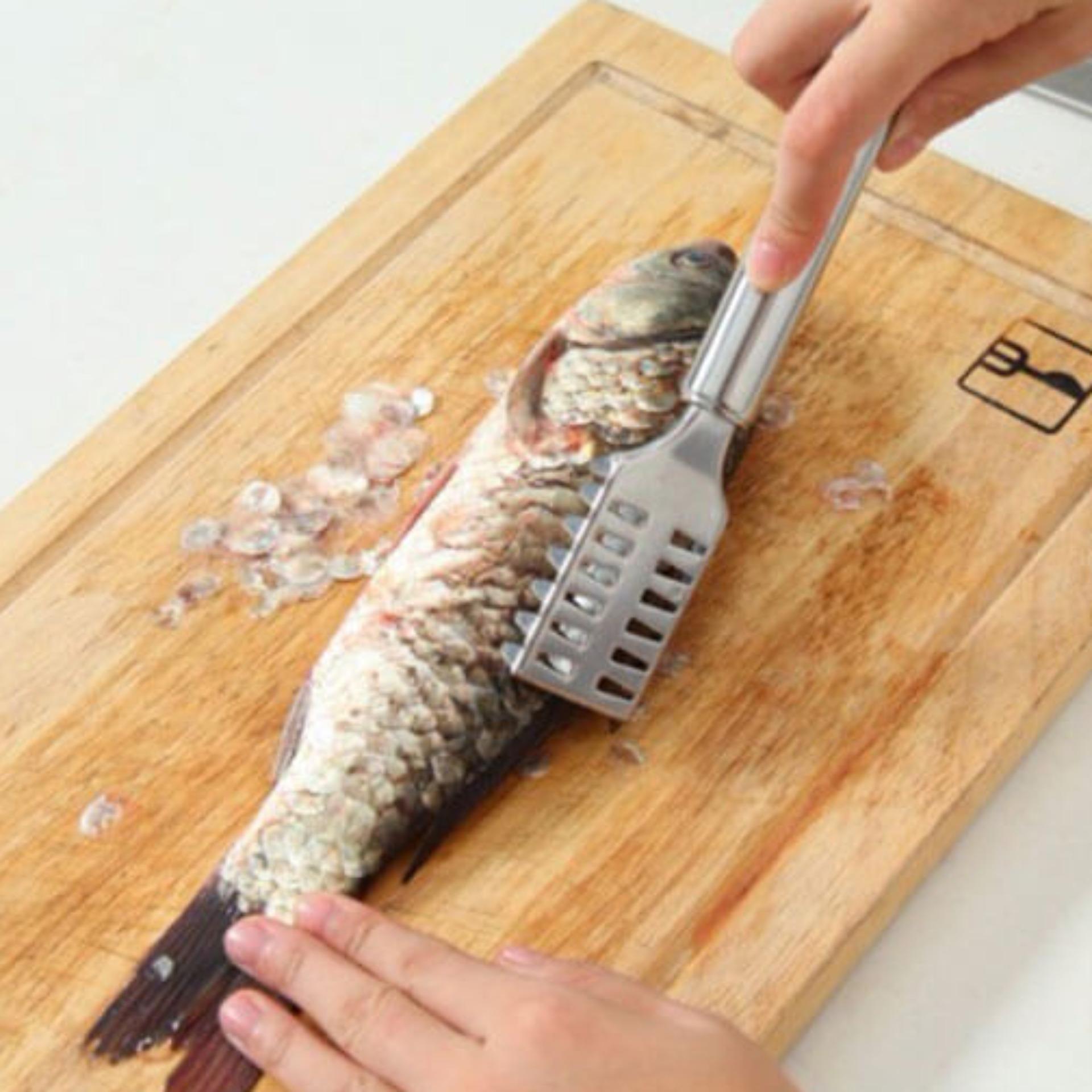 Dụng cụ đánh vảy cá inox dragon
