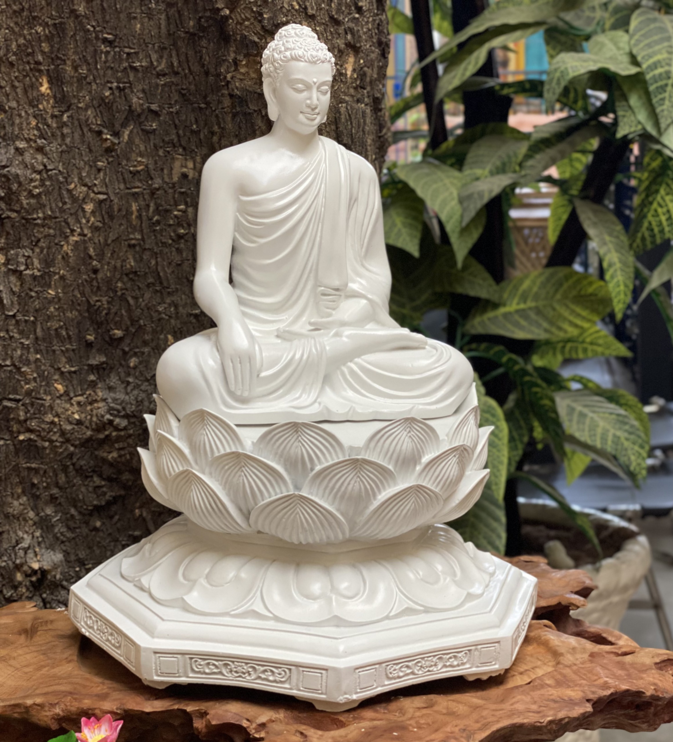 TƯỢNG PHẬT THÍCH CA MÂU NI