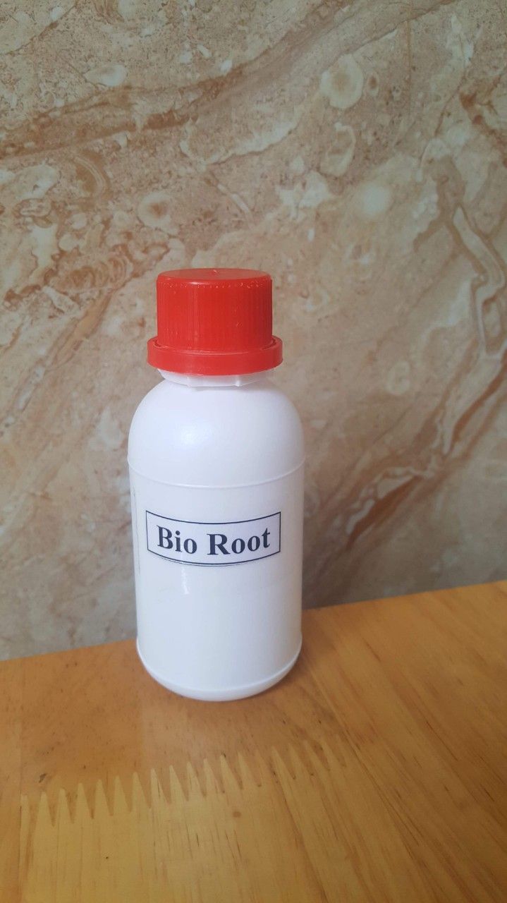 General Organics BioRoot
