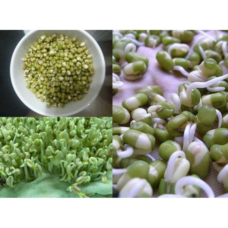 Đậu xanh nguyên hạt