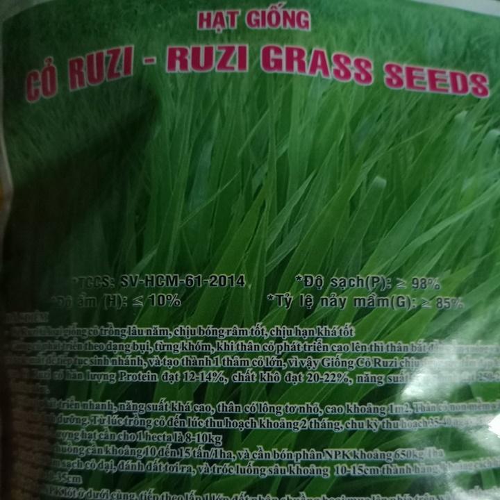 Hạt giống cỏ Ruzi gói 100gr