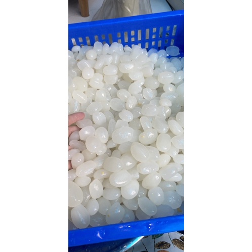 Hạt Đác tươi Nha Trang 1kg (giao tphcm)