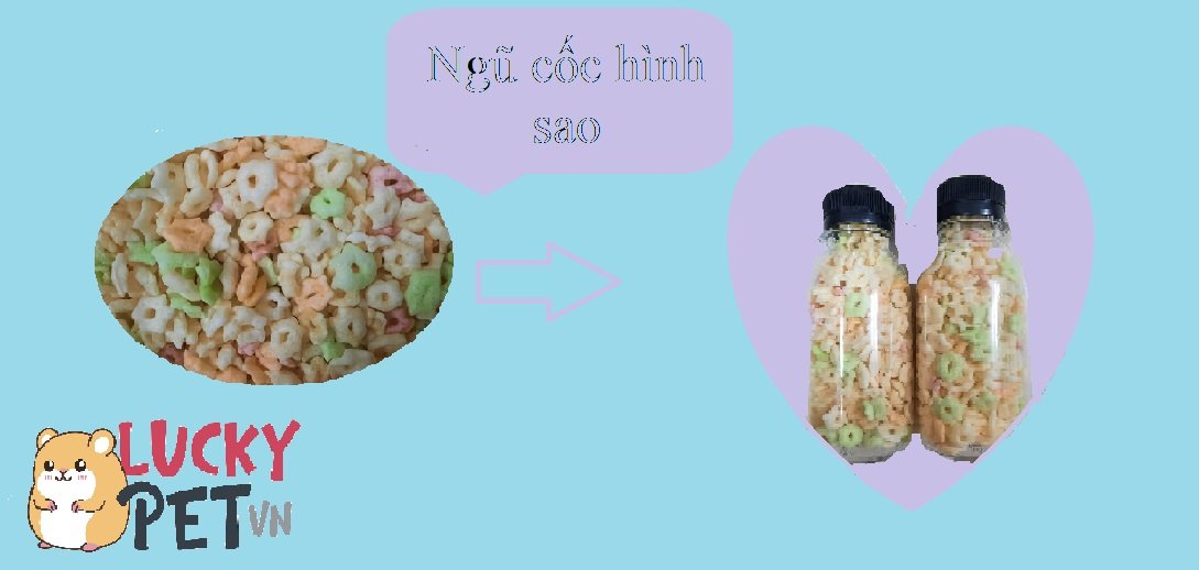 Ngũ cốc hình sao cho hamster
