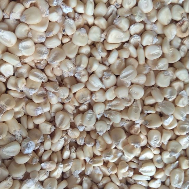 1kg BẮP NẾP KHÔ - nấu xôi, nấu chè