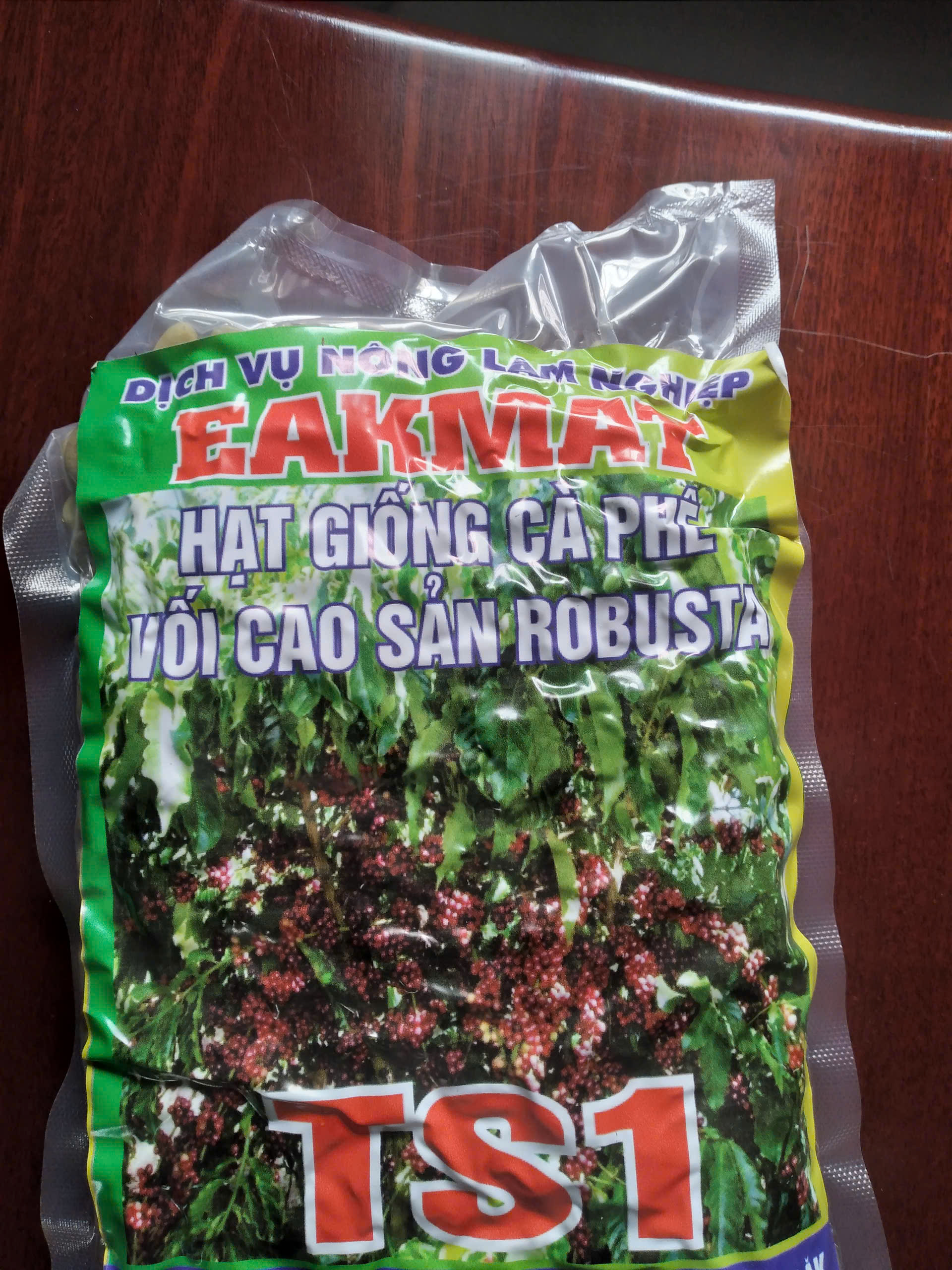 100 GRAM HẠT GIỐNG CÀ PHÊ VỐI LAI CAO SẢN ROBUSTA TRS1 [ ]]. HẠT ĐẸP TUYỂN CHỌN BAO NẢY MẦM ĐÓNG GÓI KỸ HÚT CHÂN KHÔNG  KÈM TỜ HƯỚNG DẪN ƯƠM ĐÚNG KỸ THUẬT Ạ [ HẠT TUYỂN CHỌN ] [ GHN ]