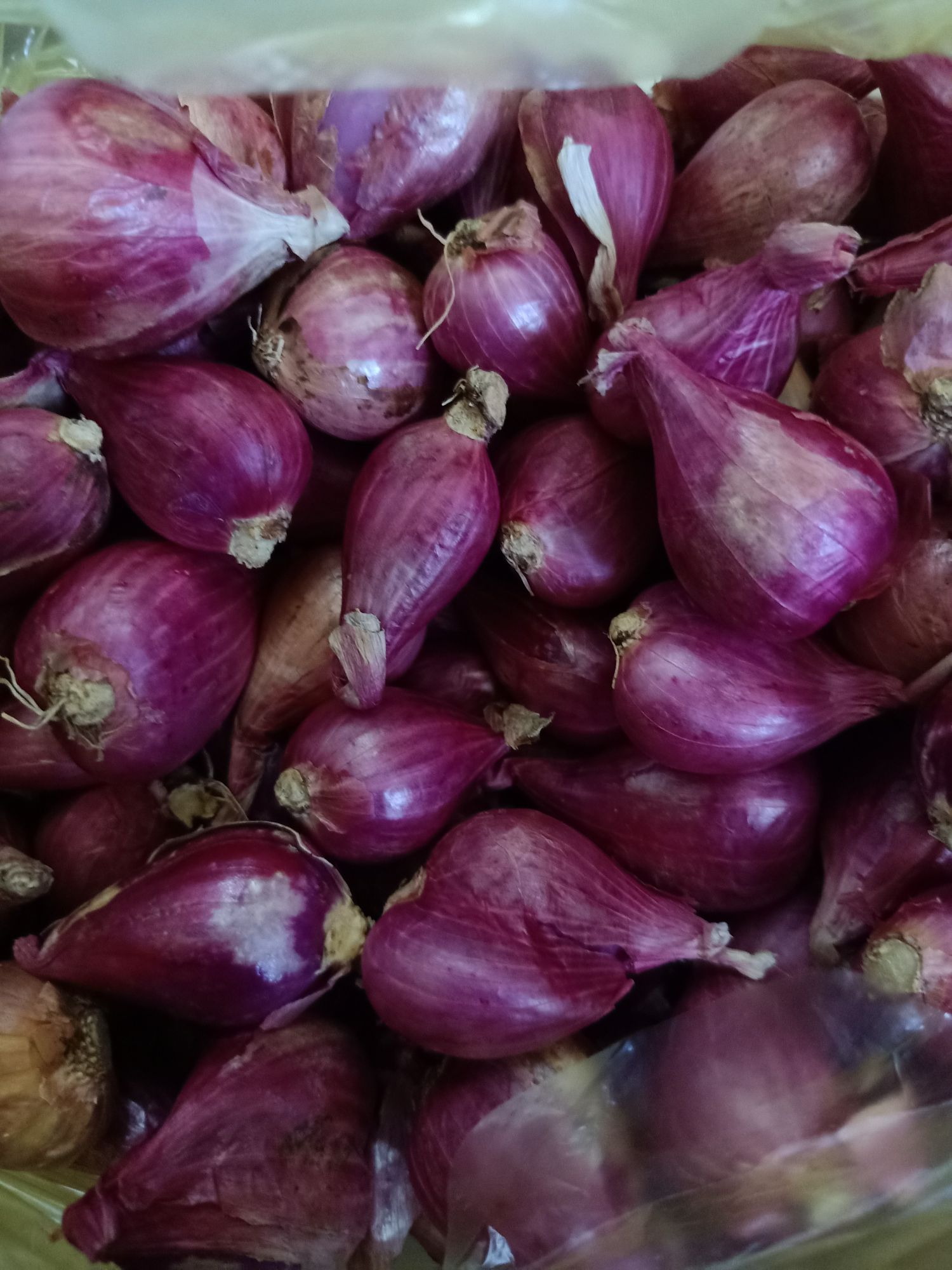 Hành tím chuẩn Huế 1kg