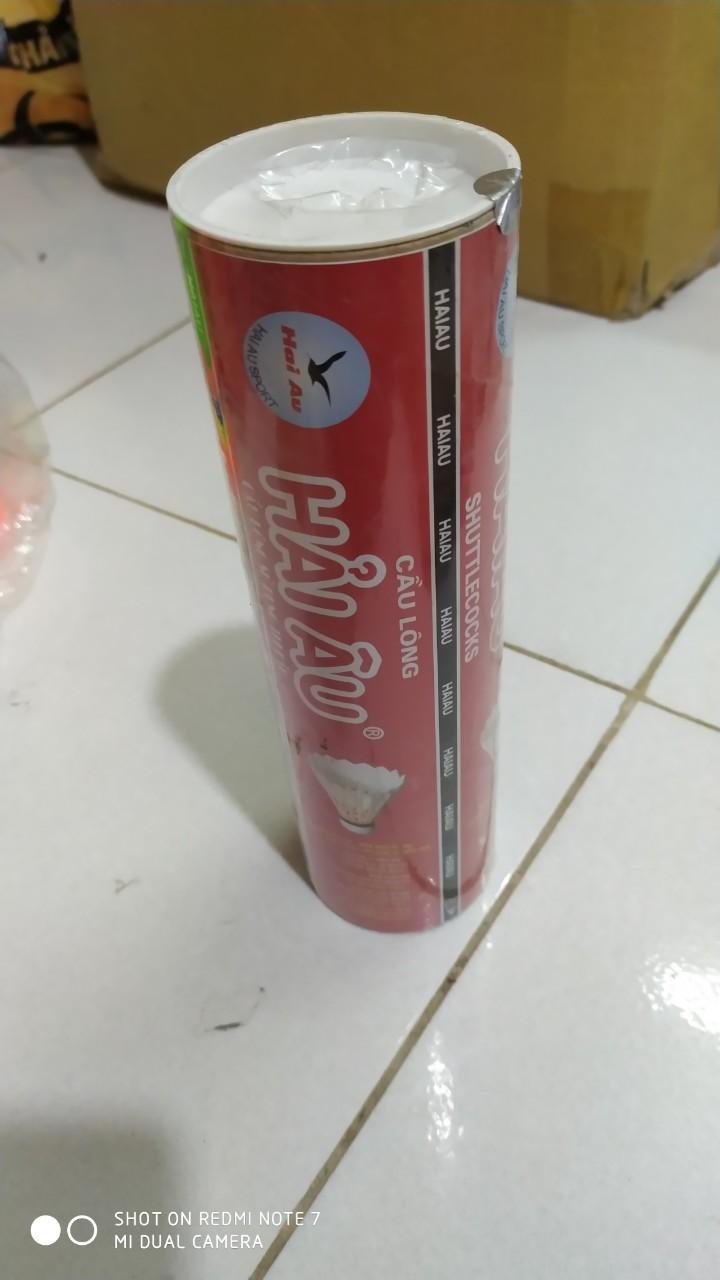 Cầu Lông Hải Âu Cao Cấp - hộp 6 quả [Hàng Chuẩn 365]