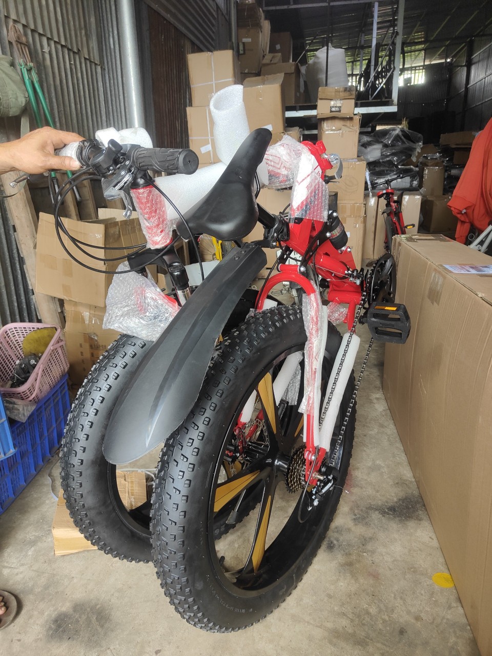 Xe đạp bánh béo cao cấp