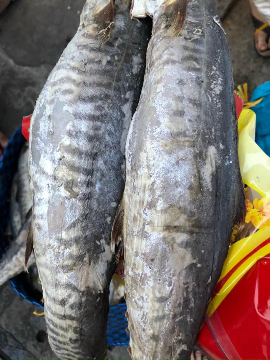 mắm thu muối vùi (có size cá lớn 500g- 900g 1con), mắm thơm ngon, Khô Thoại Sơn