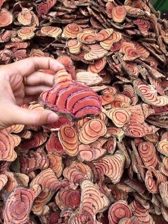 Cây huyết đằng khô 1kg