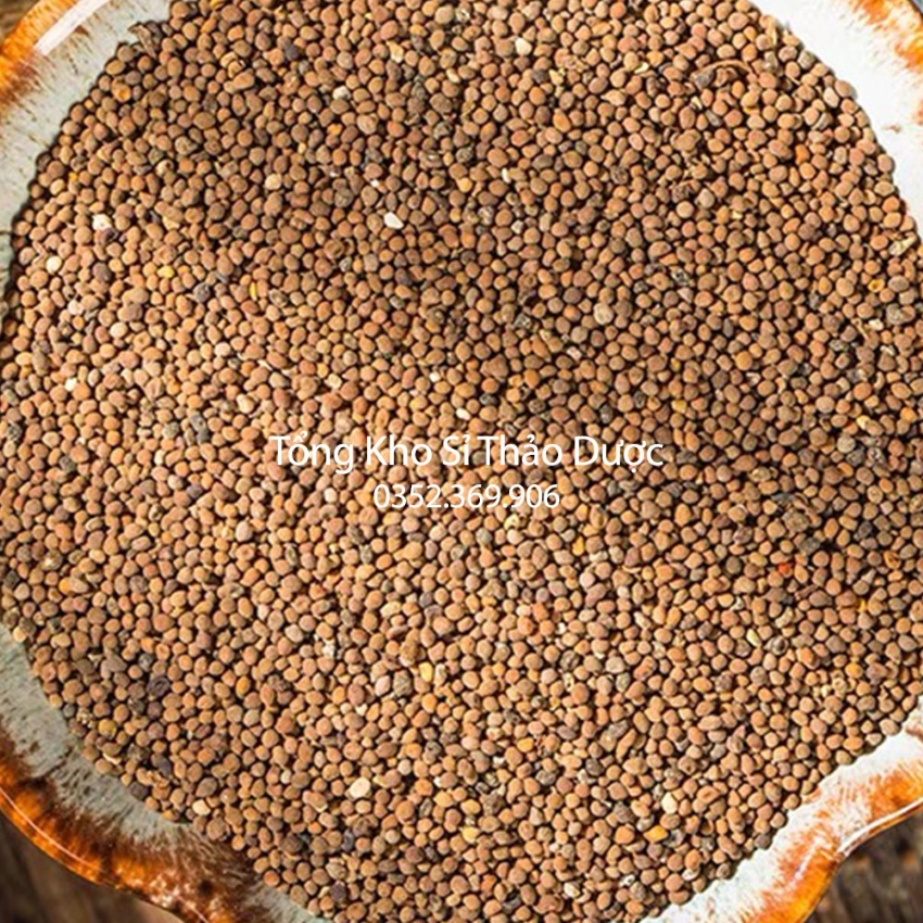 Thỏ Ty Tử 500g (Vàng Đẹp)