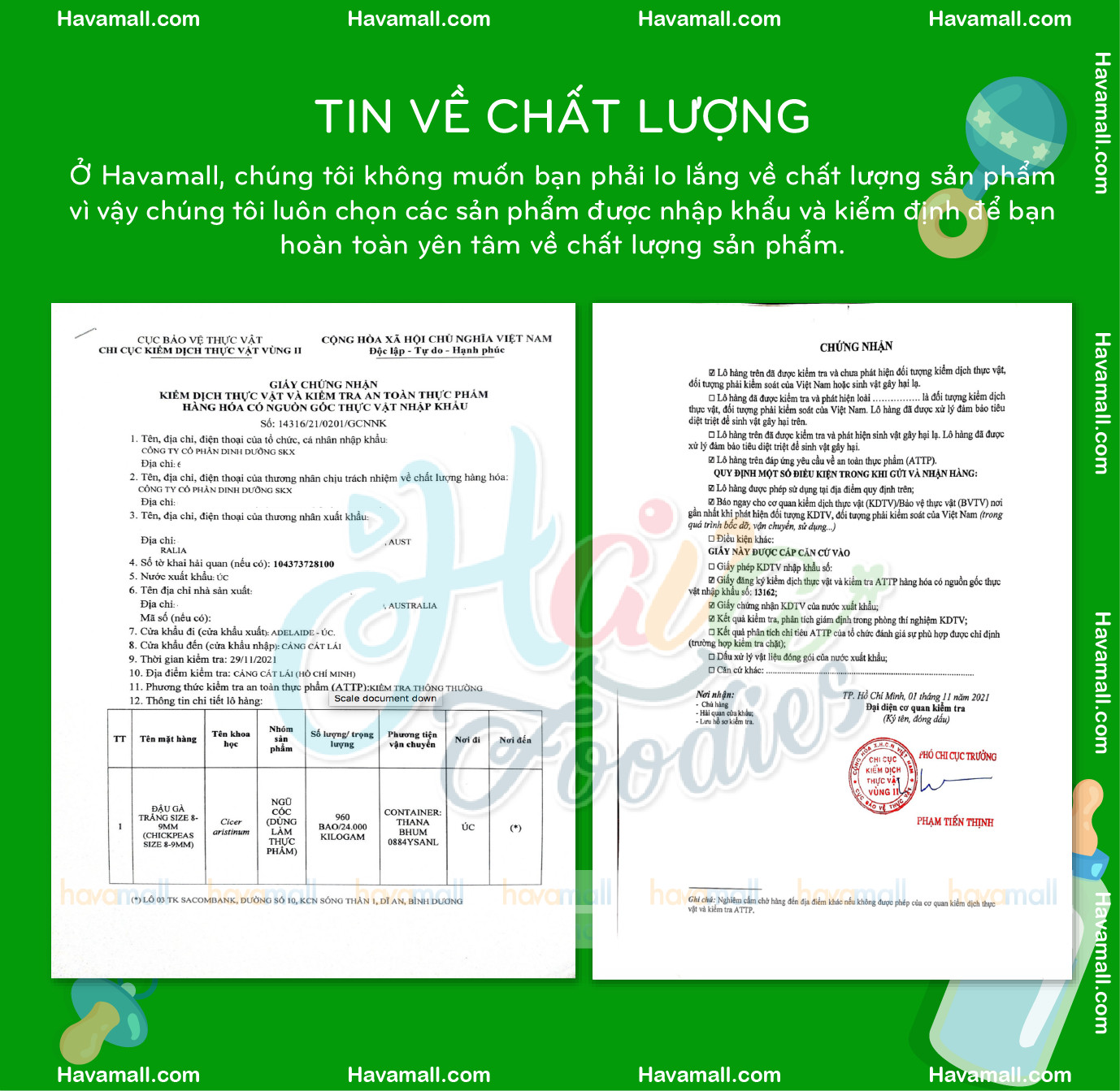 [HCM]Đậu gà Havafood 500g