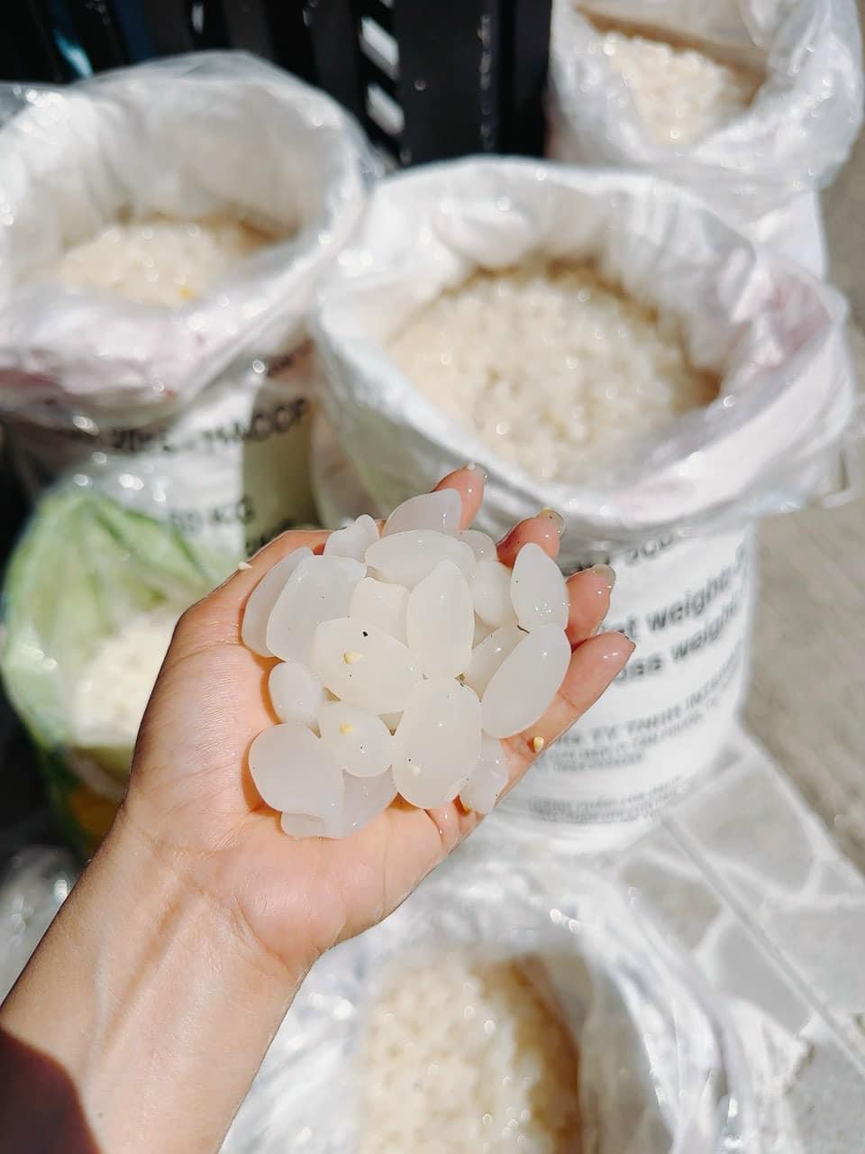 1kg Hạt đác tươi dẻo ngon thanh mát