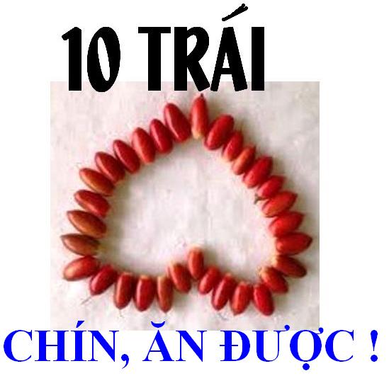 10 Trai than ky chin an duoc