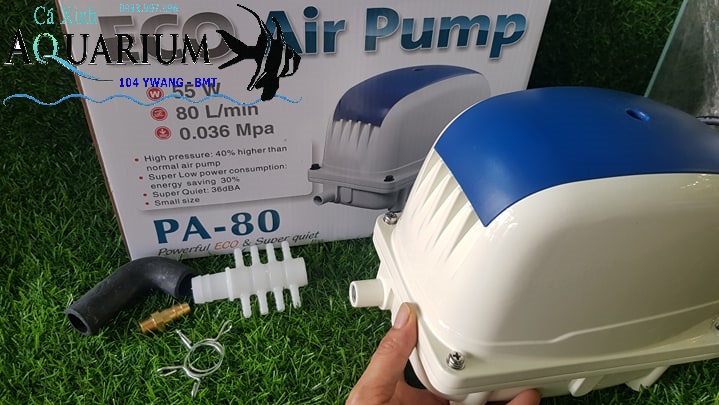 Máy sủi oxi JECOD PA 80 công suất lớn