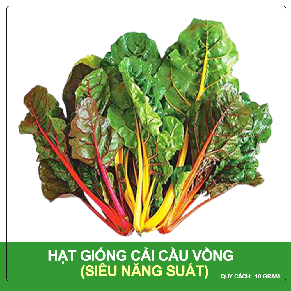 Hạt Giống Cải Cầu Vồng Siêu Năng Suất, Nảy Mầm Cao 10 Gram