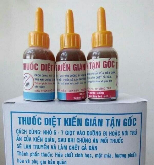 Diệt kiến gián tận gốc