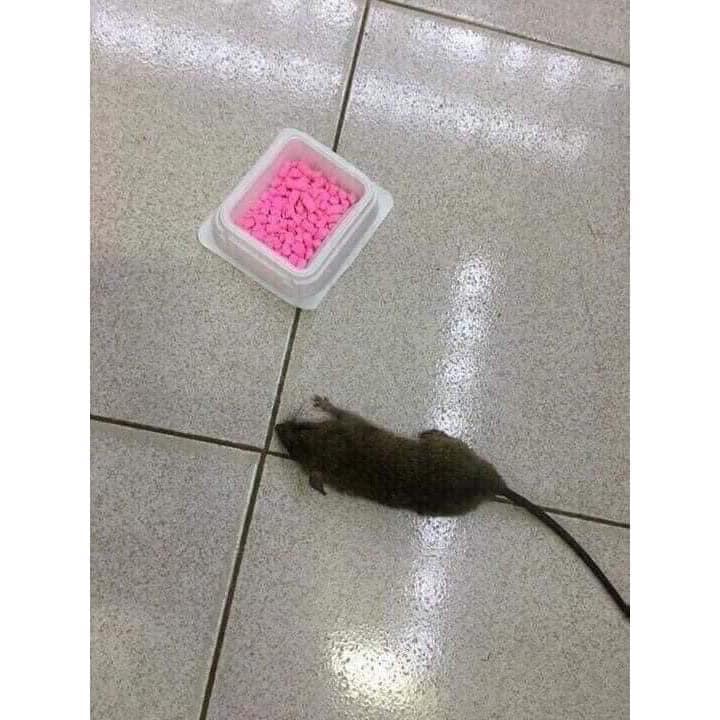 Ars Rat Killer Rat Killing Pills