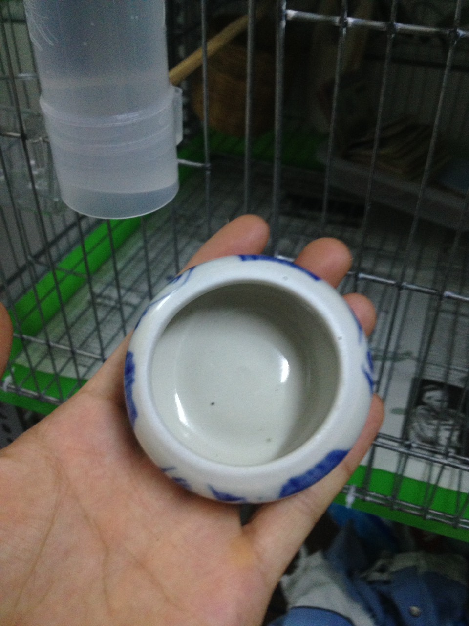 cóng gốm sứ đựng thức ăn cho chim yến hót