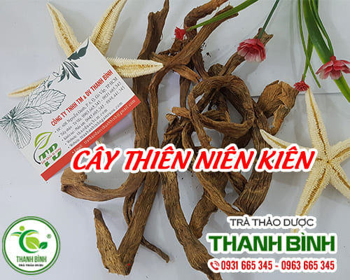Cây thiên niên kiện khô 1kg - thảo dược thanh bình