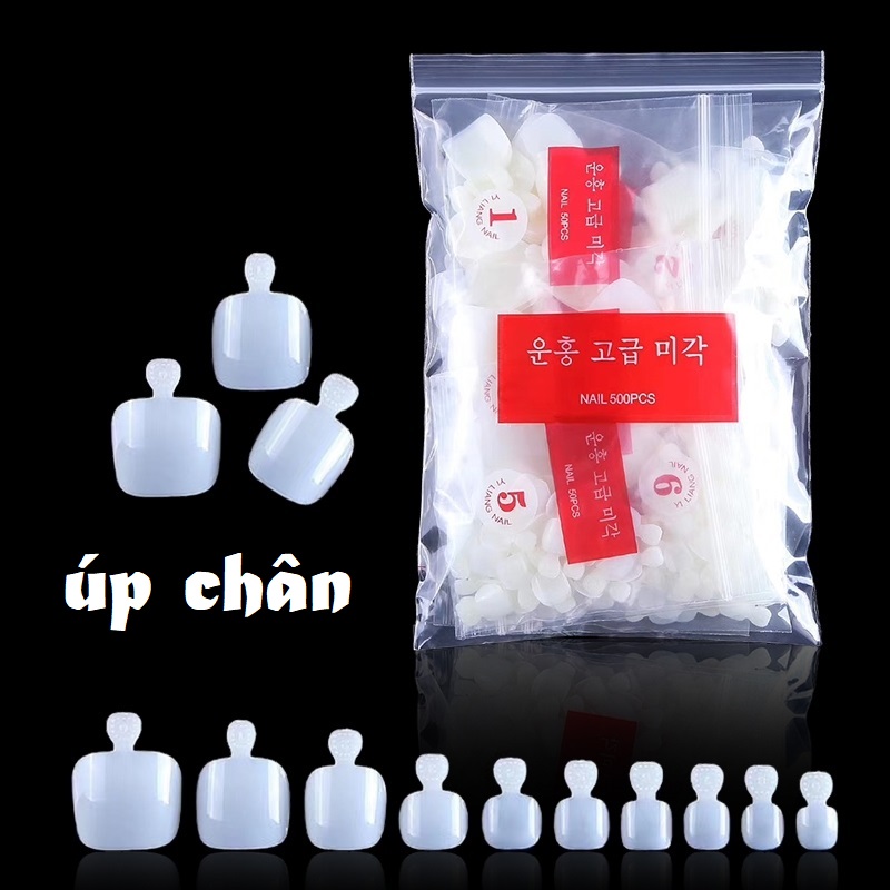 Móng hsm úp chân 500 móng - sinailmi