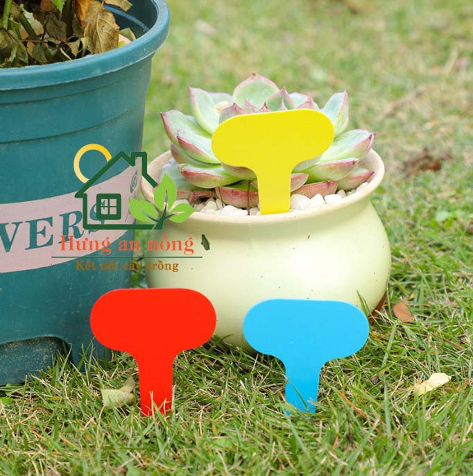 Set 100 Thẻ cắm name tag nhựa có 6 màu lựa chọn 5x7cm