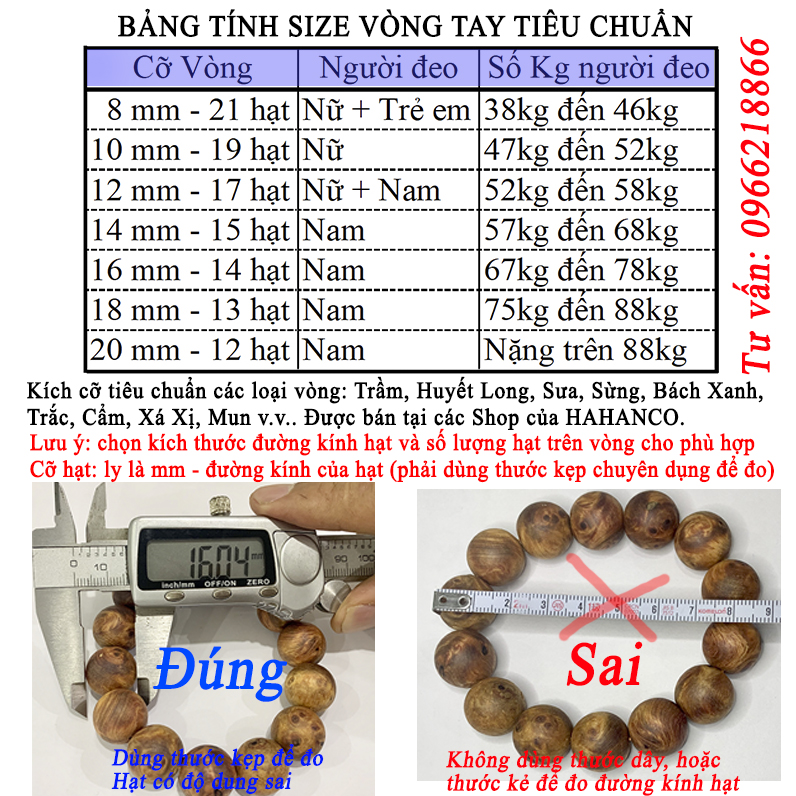 Vòng Sừng quý - Giúp tâm bạn tĩnh chế ngự nóng nảy -BH612T - Bracelet of Hahanco